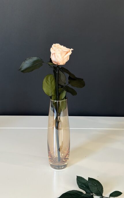 Glass Vase