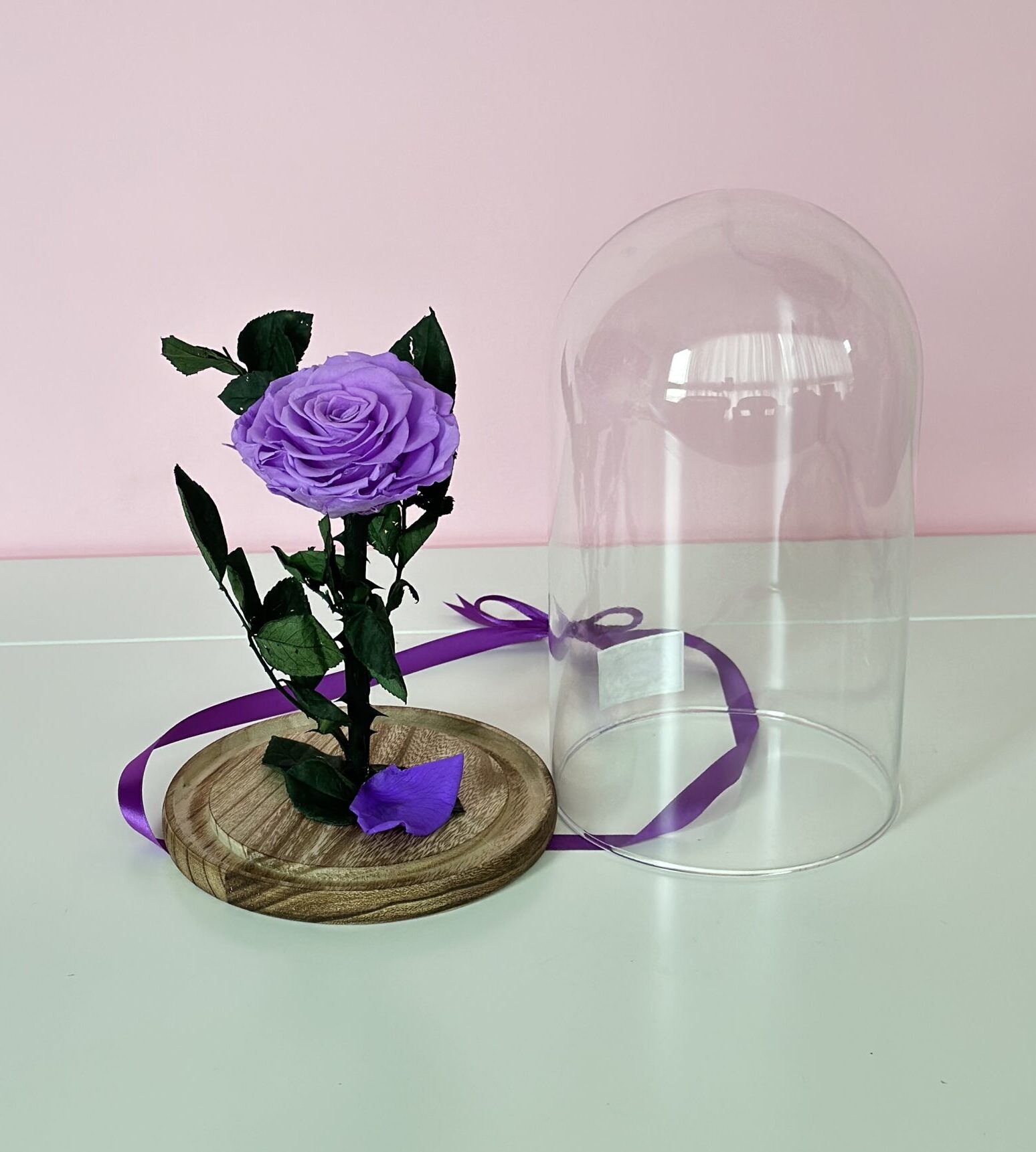 C5C4644E-B2AC-4ABD-9A8F-1C73CE579C0C