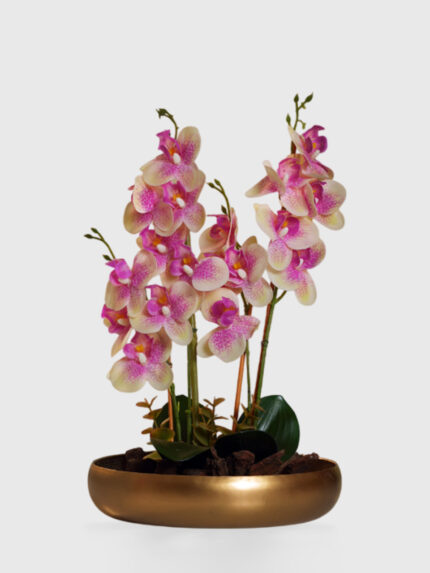 Pink Orchid Harmony Arrangement