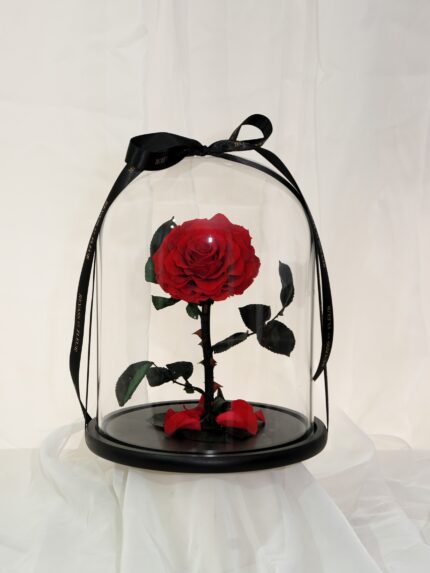 XLarge Black Base Dome